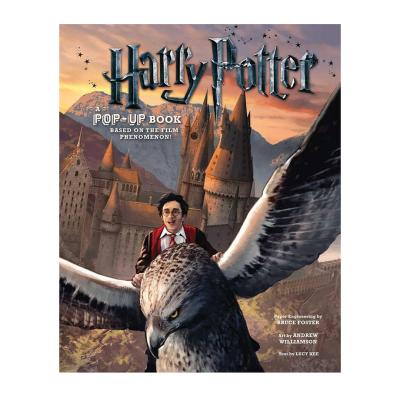 Harry Potter: A Pop-up Book: Based on the Film Phenomenon knyga su iškylančiomis iliustracijomis Insight Editions