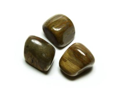 Natūralus Medžio akmuo (500 g.)