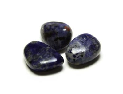 Sodalitas (500 g.)