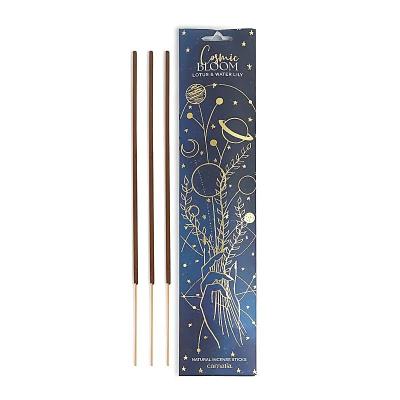 Carnatia Starry Spell smilkalai „Cosmic Bloom“