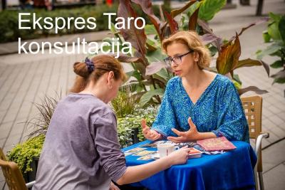 Zen ekspres taro konsultacija