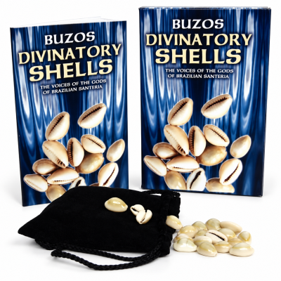 Buzios Divinatory Shells 